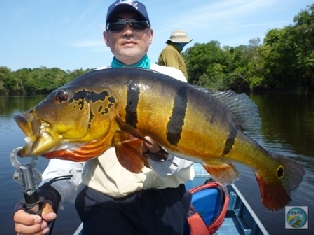 Clique aqui e acesse o programa de pesca de Barcelos no Amazonas