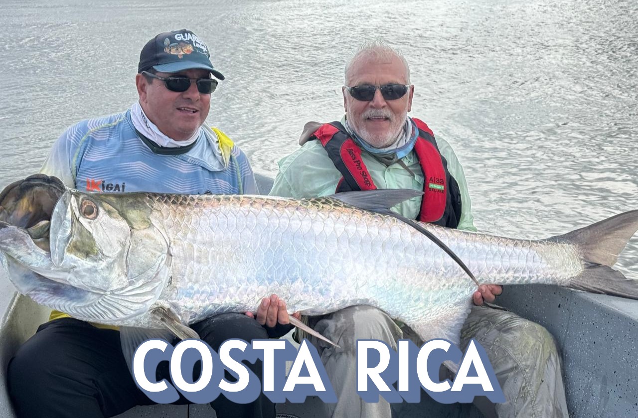 Nosso Destino - Costa Rica - Em busca do Tarpon