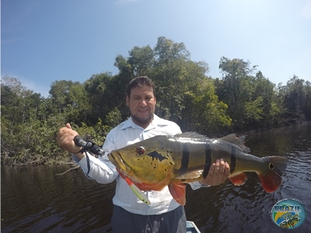 Fotos da pesca esportiva na regio Amazonica