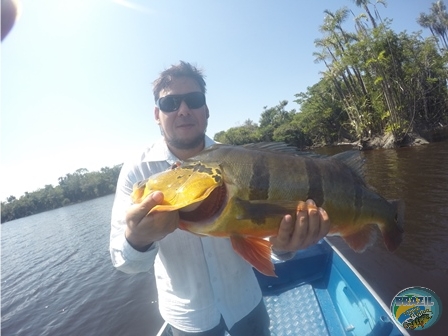 Fotos da pesca esportiva na regio Amazonica