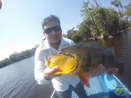 Fotos da pesca esportiva na regio Amazonica