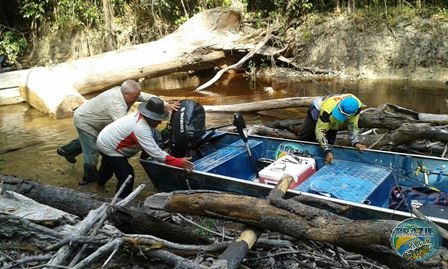 Fotos da pesca esportiva na regio Amazonica