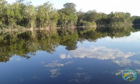 Fotos da pesca esportiva na regio Amazonica