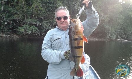 Fotos da pesca esportiva na regio Amazonica