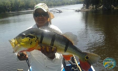 Fotos da pesca esportiva na regio Amazonica