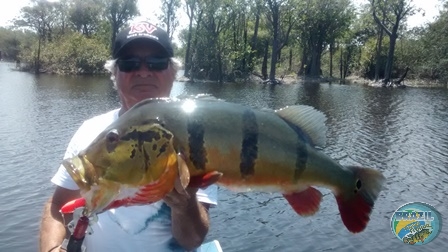 Fotos da pesca esportiva na regio Amazonica