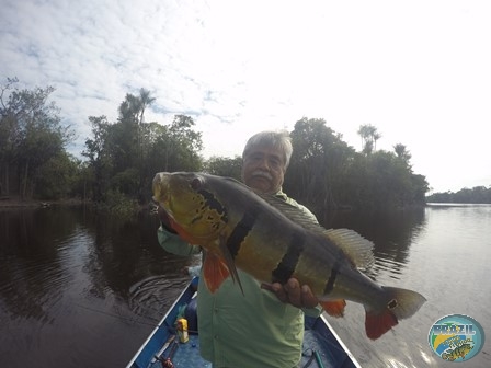 Fotos da pesca esportiva na regio Amazonica