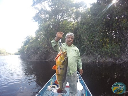 Fotos da pesca esportiva na regio Amazonica