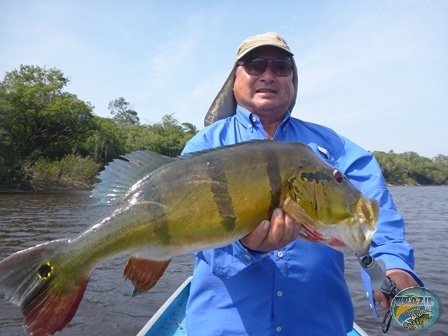Fotos da pesca esportiva na região Amazonica