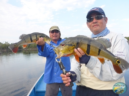 Fotos da pesca esportiva na região Amazonica