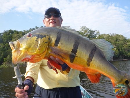 Fotos da pesca esportiva na região Amazonica