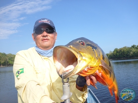 Fotos da pesca esportiva na região Amazonica