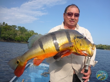 Fotos da pesca esportiva na região Amazonica