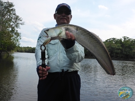 Fotos da pesca esportiva na região Amazonica