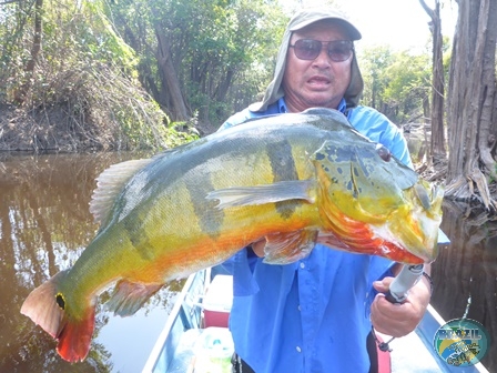 Fotos da pesca esportiva na região Amazonica