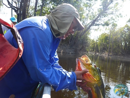 Fotos da pesca esportiva na região Amazonica