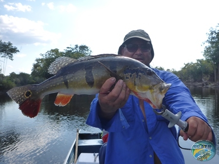 Fotos da pesca esportiva na região Amazonica