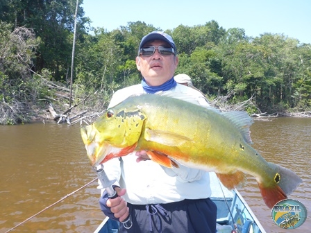 Fotos da pesca esportiva na região Amazonica