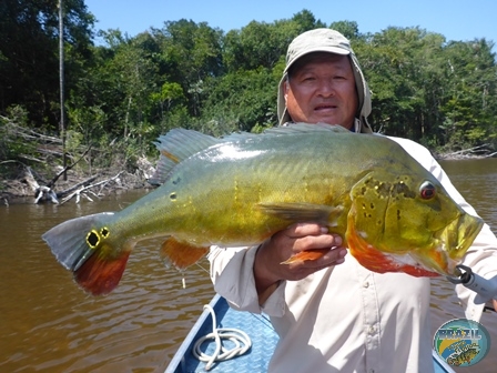 Fotos da pesca esportiva na região Amazonica