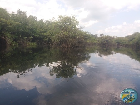 Fotos da pesca esportiva na regio Amaznica