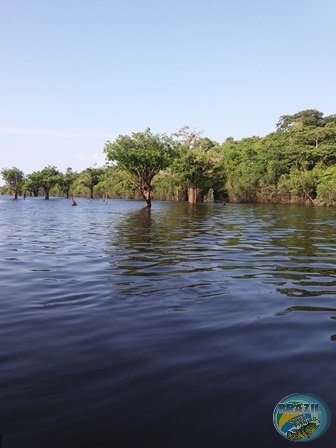 Fotos da pesca esportiva na regio Amaznica