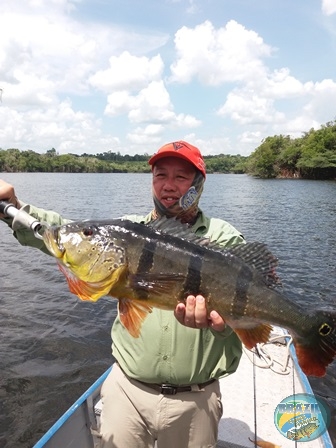 Fotos da pesca esportiva na regio Amaznica