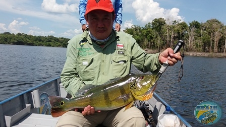 Fotos da pesca esportiva na regio Amaznica