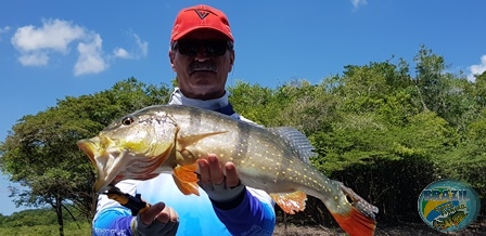 Fotos da pesca esportiva na regio Amaznica