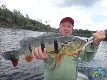 Fotos da pesca esportiva na regio Amaznica