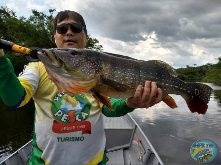 Fotos da pesca esportiva na regio Amaznica