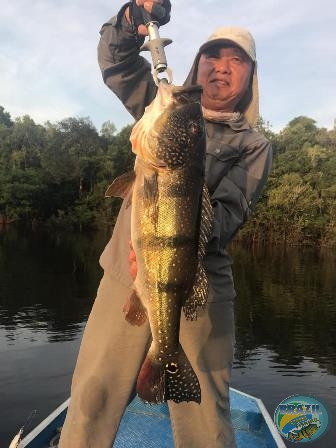 Fotos da pesca esportiva na regio Amaznica