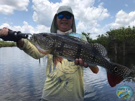 Fotos da pesca esportiva na regio Amaznica