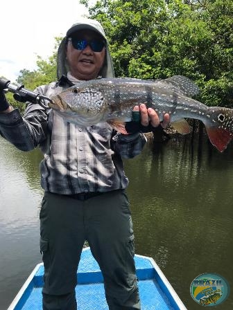 Fotos da pesca esportiva na regio Amaznica