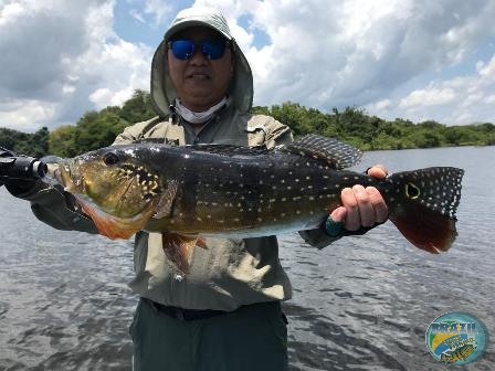 Fotos da pesca esportiva na regio Amaznica