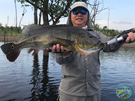 Fotos da pesca esportiva na regio Amaznica