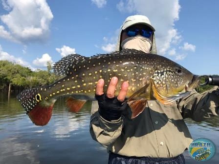 Fotos da pesca esportiva na regio Amaznica