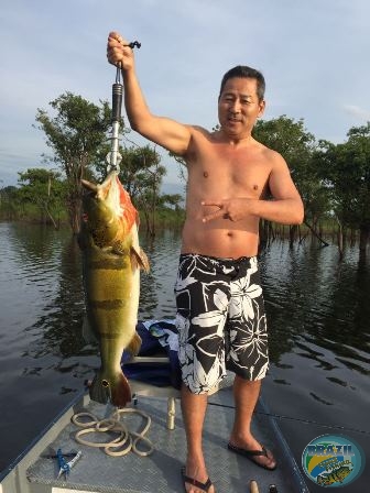 Fotos da pesca esportiva na regio Amaznica