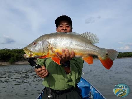 Fotos da pesca esportiva na regio Amaznica