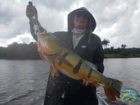 Fotos da pesca esportiva na regio Amaznica