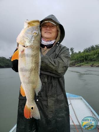 Fotos da pesca esportiva na regio Amaznica