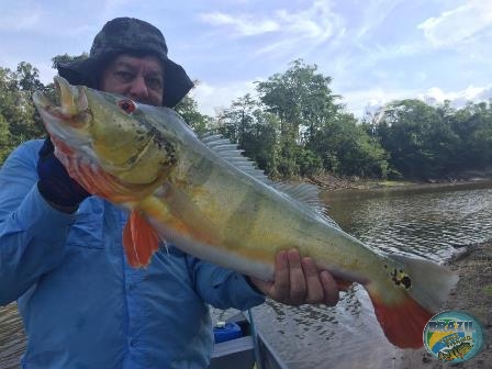 Fotos da pesca esportiva na regio Amaznica