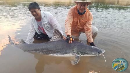 Fotos da pesca esportiva na regio Amaznica