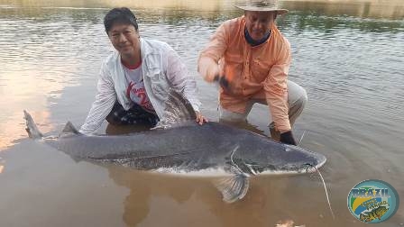 Fotos da pesca esportiva na regio Amaznica