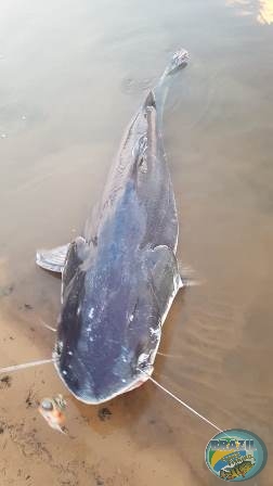 Fotos da pesca esportiva na regio Amaznica