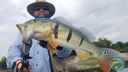 Fotos da pesca esportiva na regio Amaznica