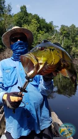 Fotos da pesca esportiva na regio Amaznica