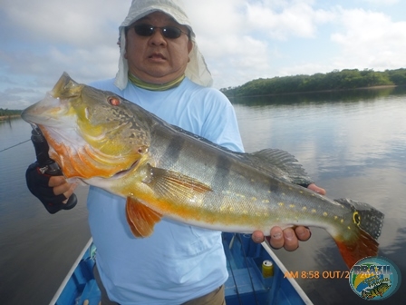 Fotos da pesca esportiva na regio Amaznica