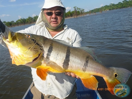 Fotos da pesca esportiva na regio Amaznica