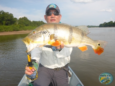 Fotos da pesca esportiva na regio Amaznica