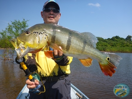 Fotos da pesca esportiva na regio Amaznica